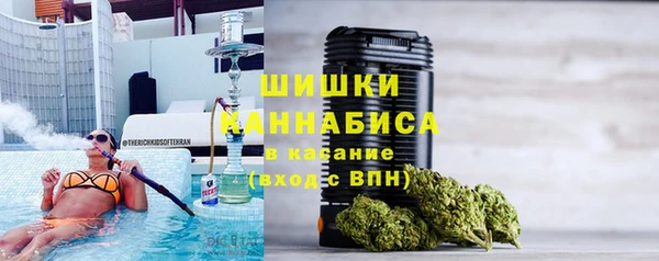 индика Балахна
