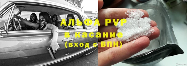 индика Балахна