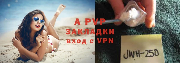 индика Балахна