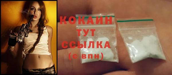 индика Балахна