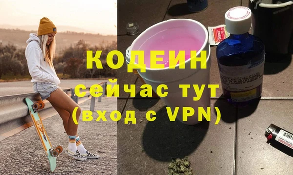 индика Балахна