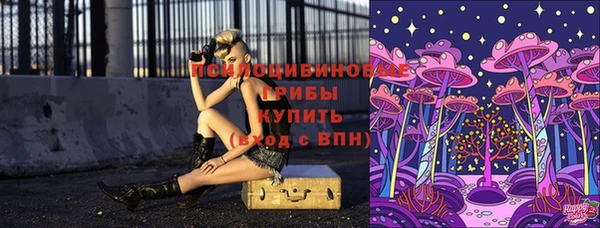 индика Балахна