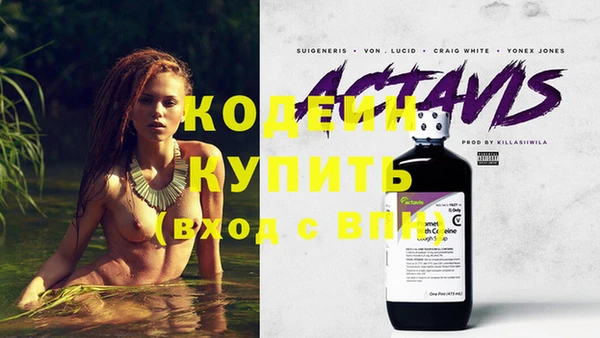 индика Балахна