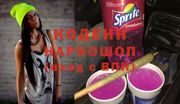 индика Балахна