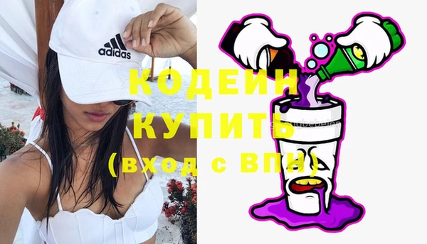 индика Балахна