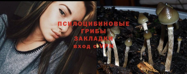 индика Балахна