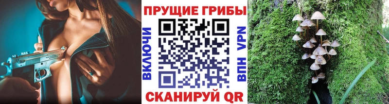 Галлюциногенные грибы мицелий  Борисоглебск 